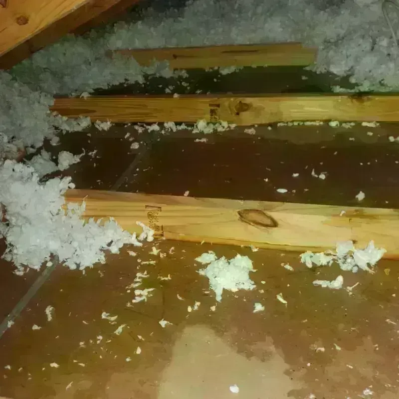 Attic Water Damage in Des Allemands, LA